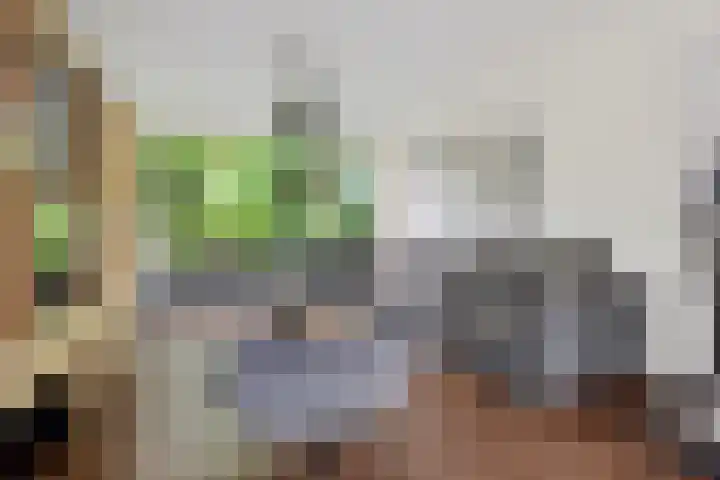 Nijenheim 1016 Zeist thumbnail 15