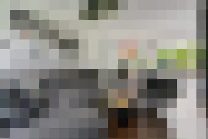 Nijenheim 1016 Zeist thumbnail 16