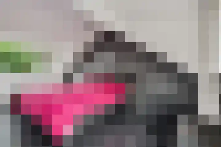 Nijenheim 1016 Zeist thumbnail 28