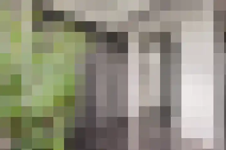Nijenheim 1016 Zeist thumbnail 31