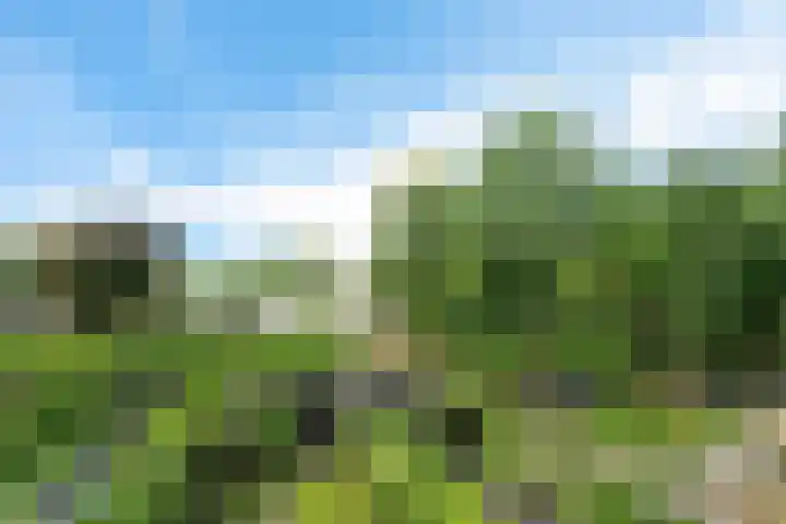 Nijenheim 1016 Zeist thumbnail 32