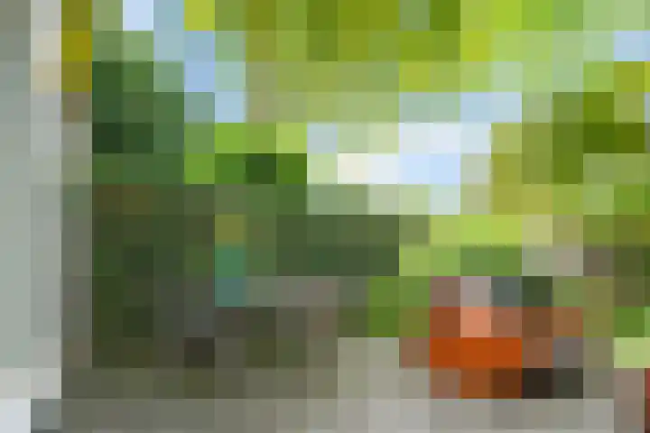 Nijenheim 1016 Zeist thumbnail 33