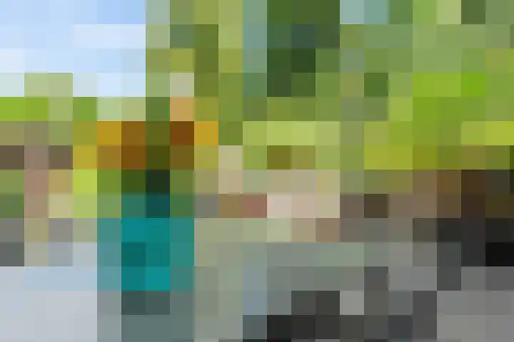 Nijenheim 1016 Zeist thumbnail 34