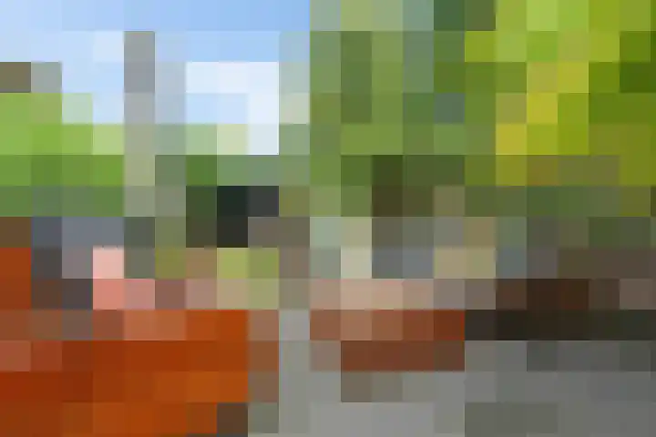 Nijenheim 1016 Zeist thumbnail 35