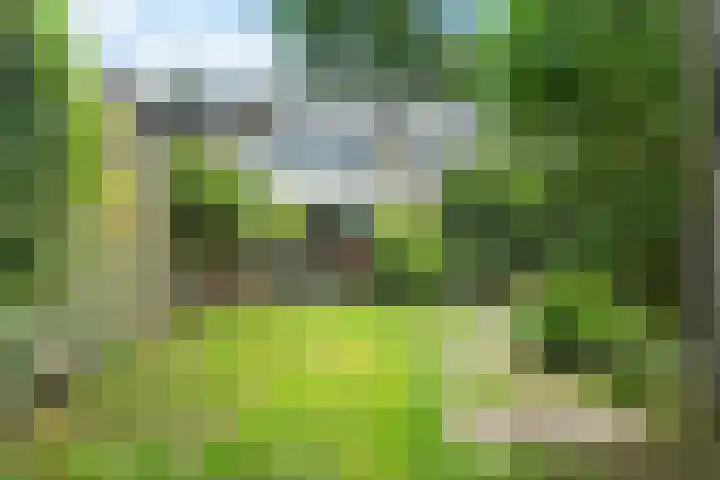 Nijenheim 1016 Zeist thumbnail 36
