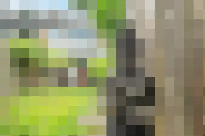 Nijenheim 1016 Zeist thumbnail 37
