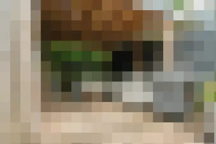 Nijenheim 1016 Zeist thumbnail 38