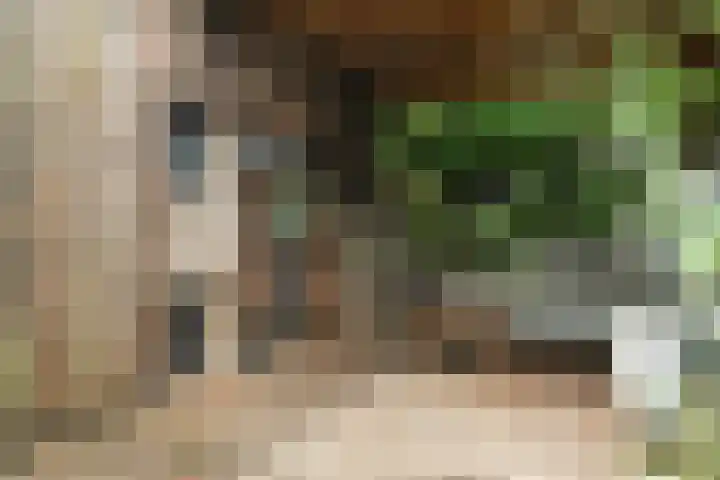 Nijenheim 1016 Zeist thumbnail 39
