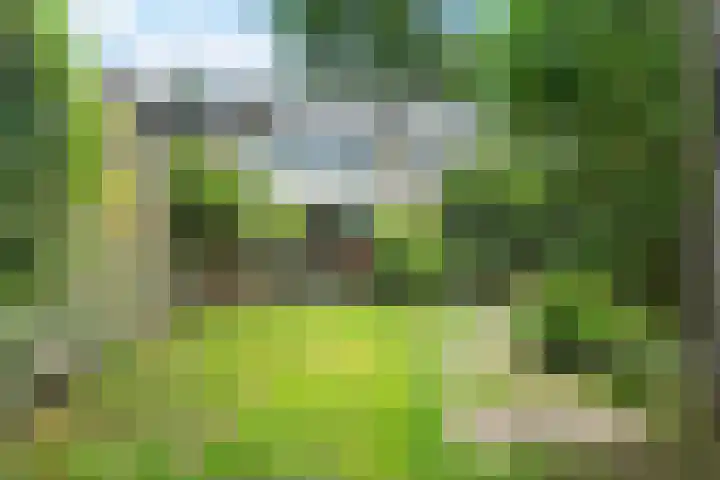 Nijenheim 1016 Zeist thumbnail 4