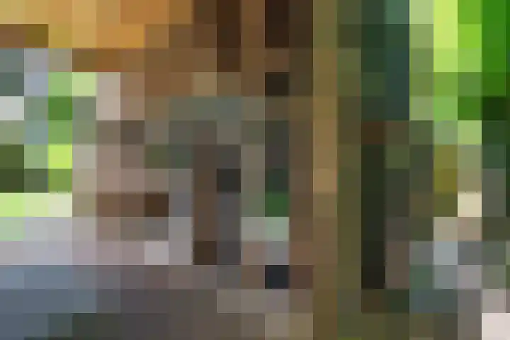 Nijenheim 1016 Zeist thumbnail 40