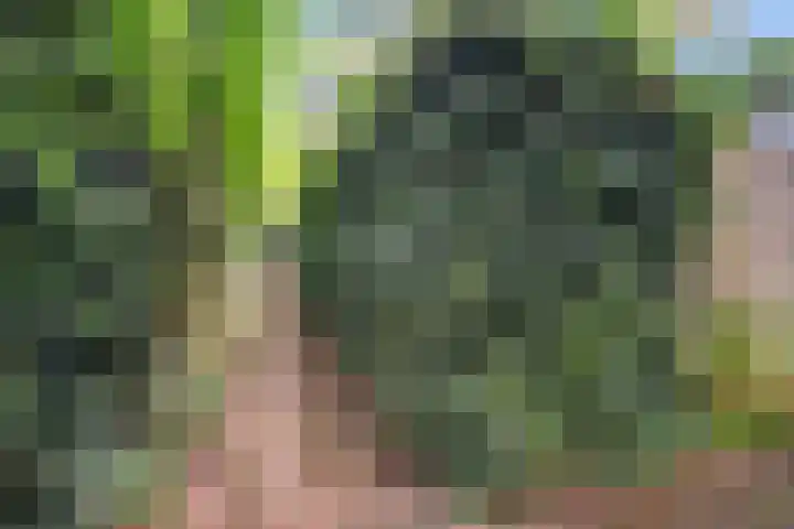 Nijenheim 1016 Zeist thumbnail 41