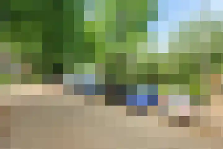 Nijenheim 1016 Zeist thumbnail 44