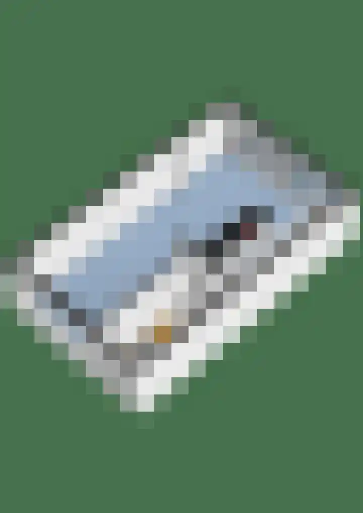 Nijenheim 1016 Zeist thumbnail 46