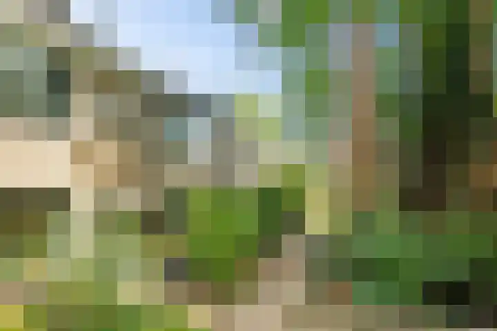 Nijenheim 1016 Zeist thumbnail 5