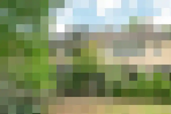 Nijenheim 1016 Zeist thumbnail 51