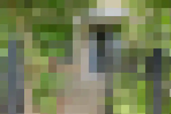 Nijenheim 1016 Zeist thumbnail 7