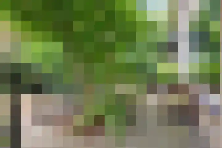Nijenheim 1016 Zeist thumbnail 8