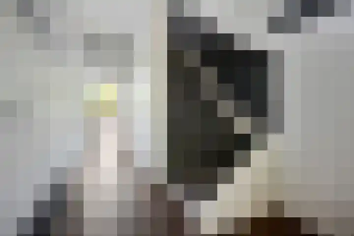 Nijenheim 1016 Zeist thumbnail 9