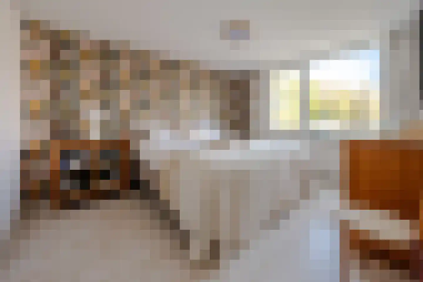 Nijenheim 1024 Zeist thumbnail 16