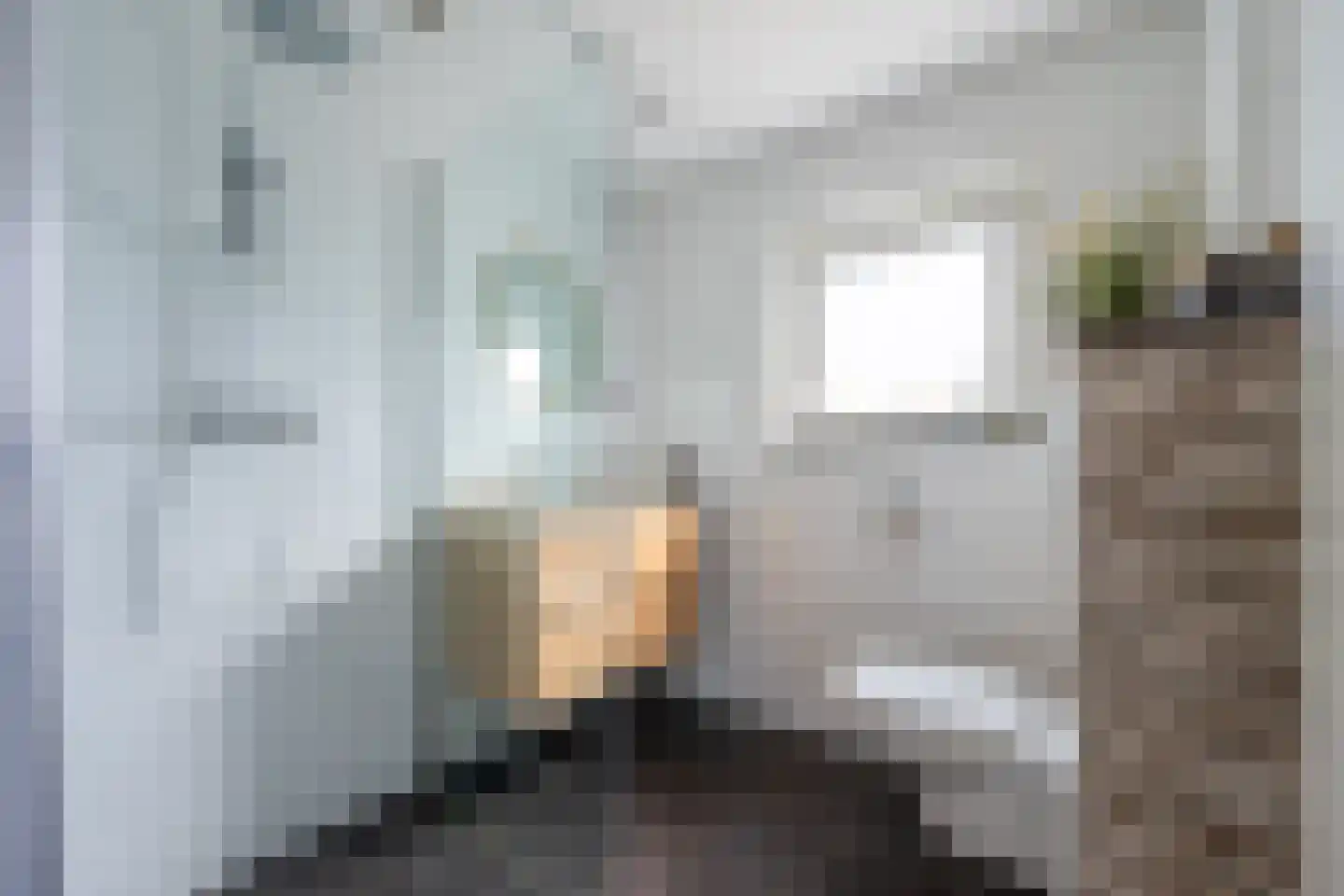 Nijenheim 1024 Zeist thumbnail 20