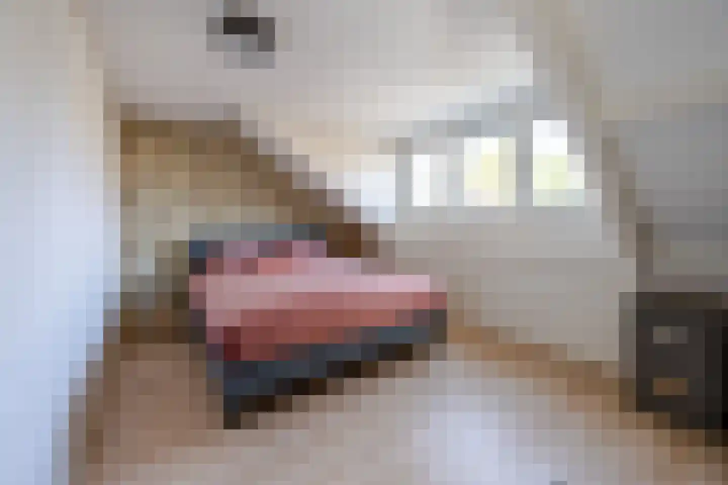 Nijenheim 1024 Zeist thumbnail 24