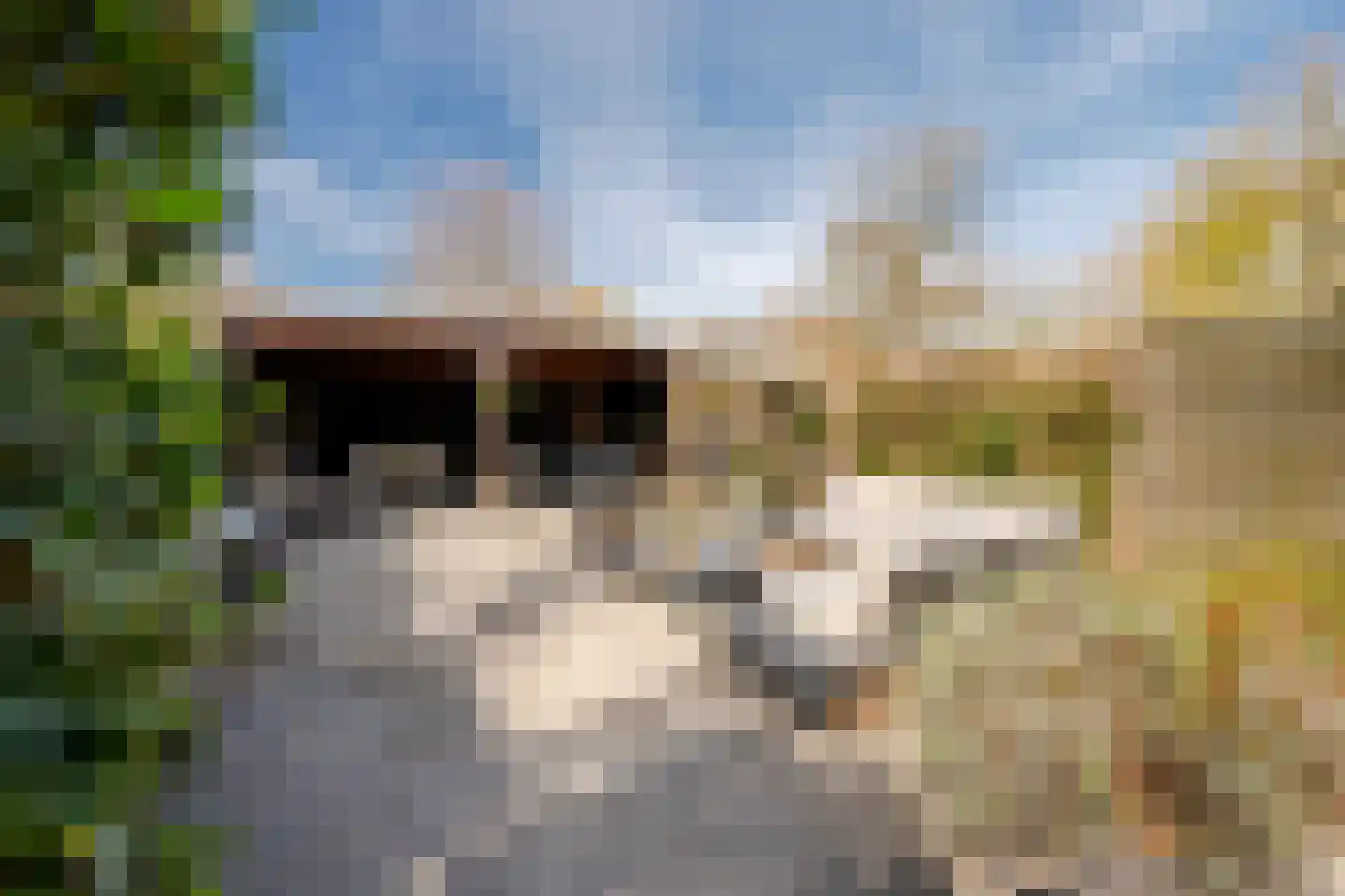 Nijenheim 1024 Zeist thumbnail 26