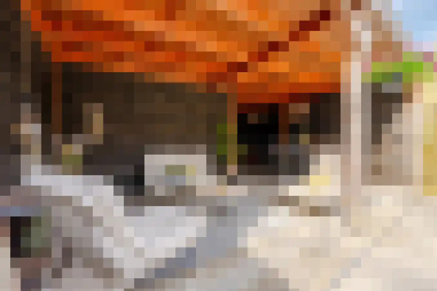 Nijenheim 1024 Zeist thumbnail 28