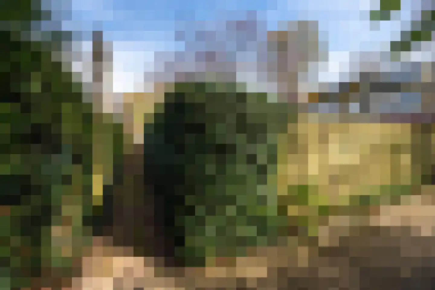 Nijenheim 1024 Zeist thumbnail 36