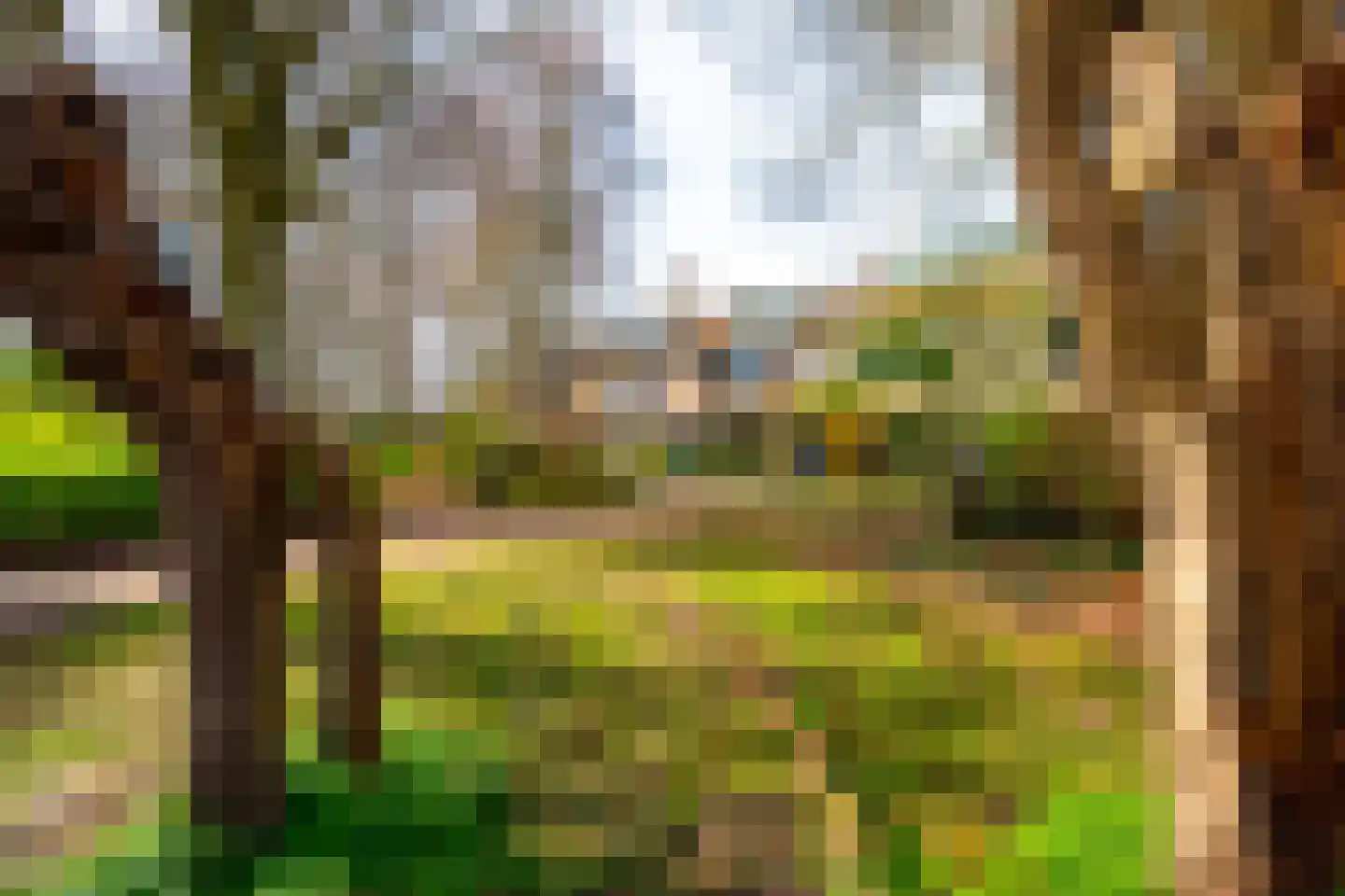 Nijenheim 1024 Zeist thumbnail 38