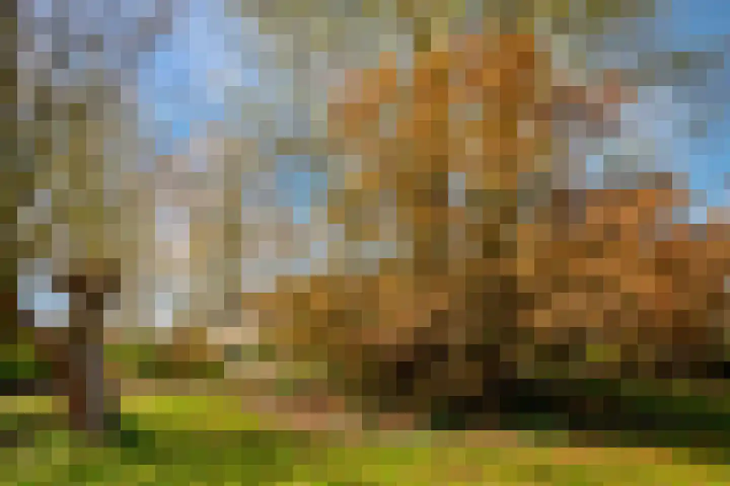 Nijenheim 1024 Zeist thumbnail 39
