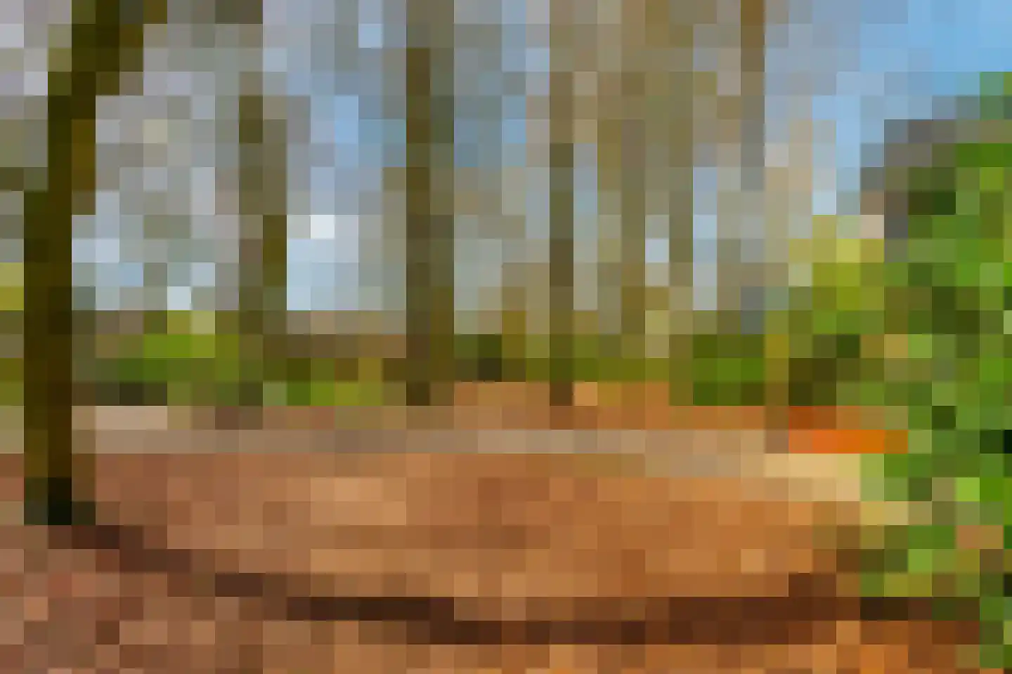 Nijenheim 1024 Zeist thumbnail 40