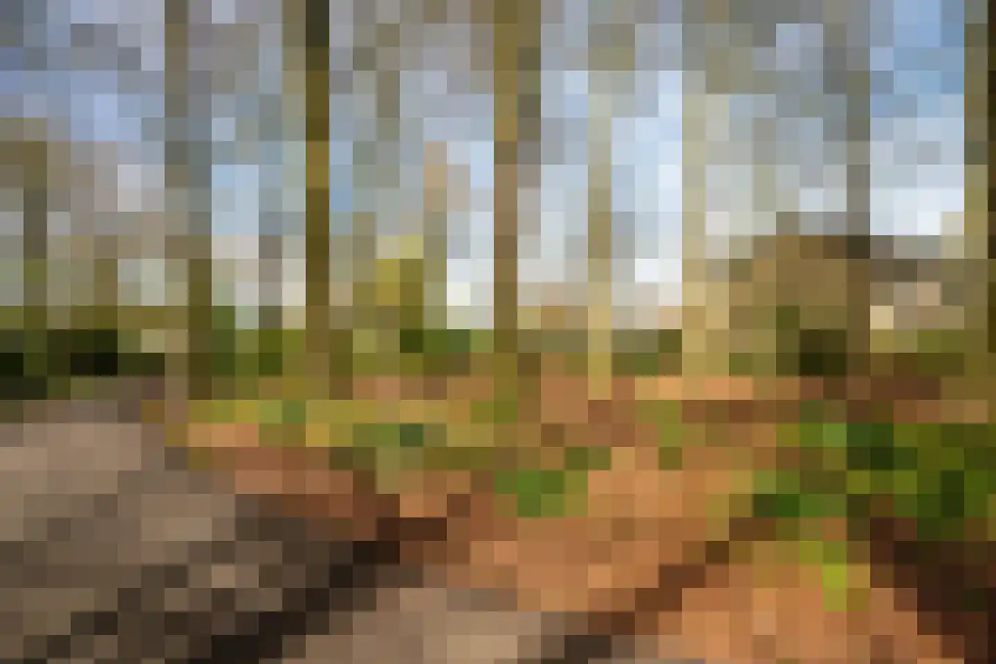 Nijenheim 1024 Zeist thumbnail 41