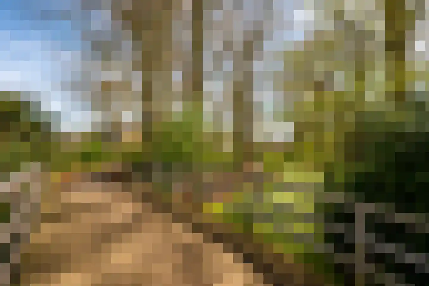 Nijenheim 1024 Zeist thumbnail 42