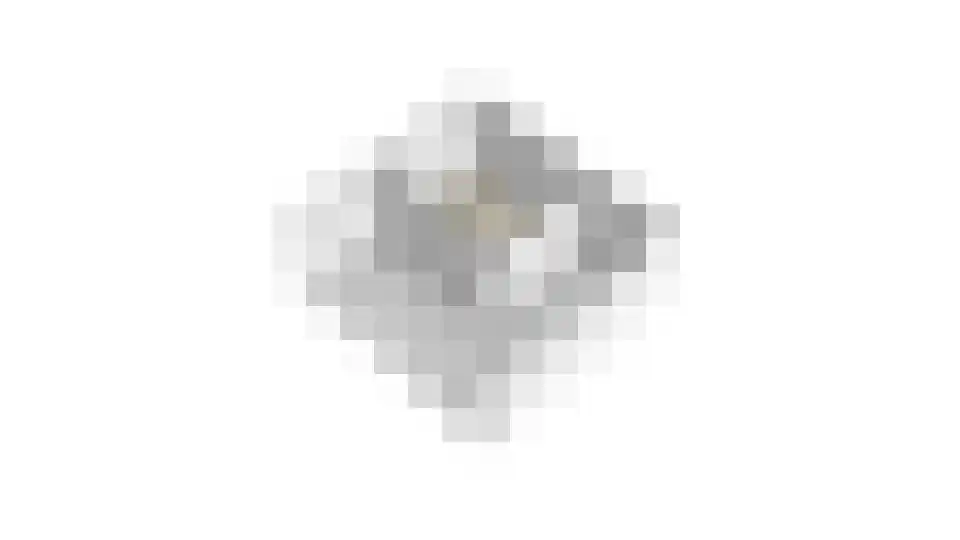 Nijenheim 1024 Zeist thumbnail 52
