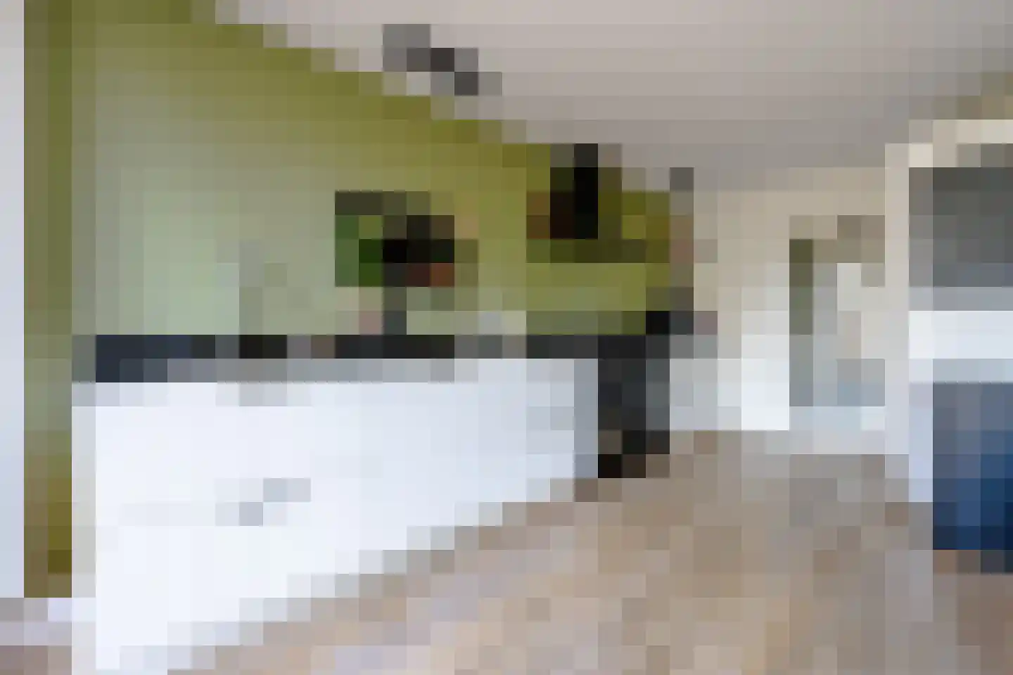 Nijenheim 1024 Zeist thumbnail 9