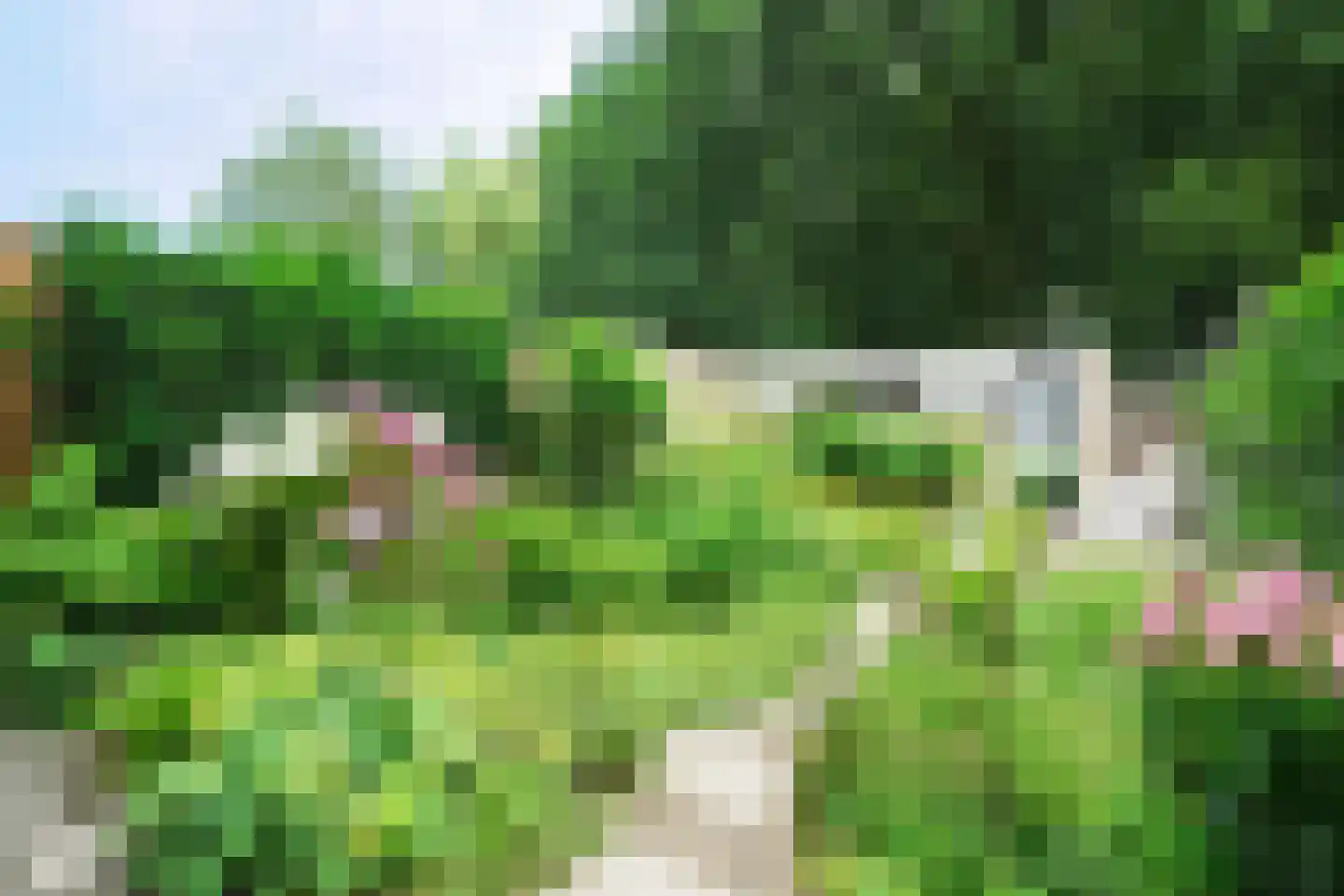 Nijenheim 1118 Zeist thumbnail 18