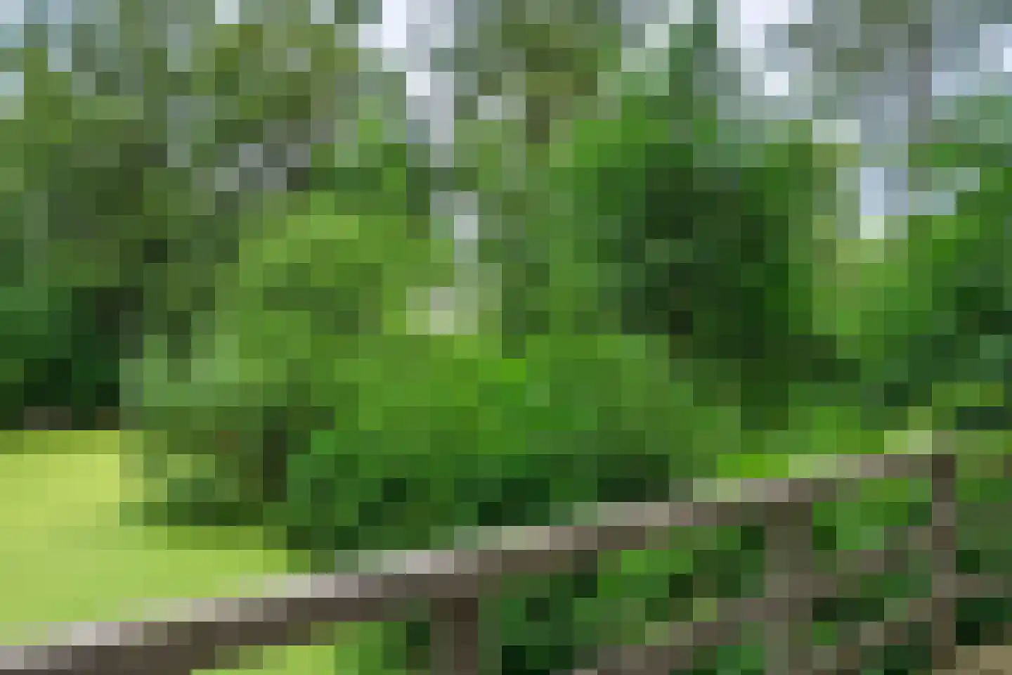 Nijenheim 1118 Zeist thumbnail 22