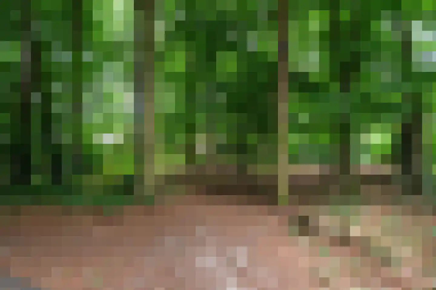 Nijenheim 1118 Zeist thumbnail 23