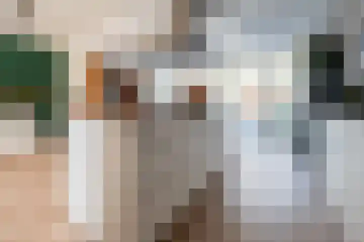 Nijenheim 1122 Zeist thumbnail 14
