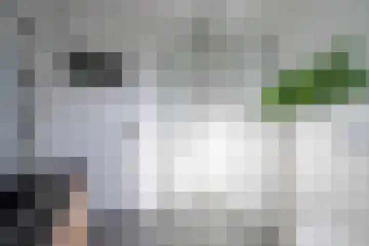 Nijenheim 1122 Zeist thumbnail 24
