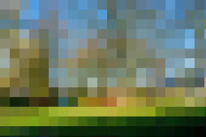 Nijenheim 1122 Zeist thumbnail 37
