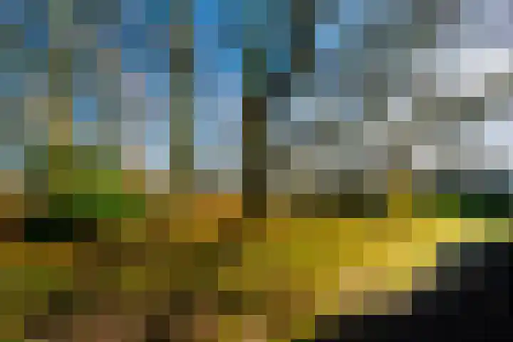 Nijenheim 1122 Zeist thumbnail 38
