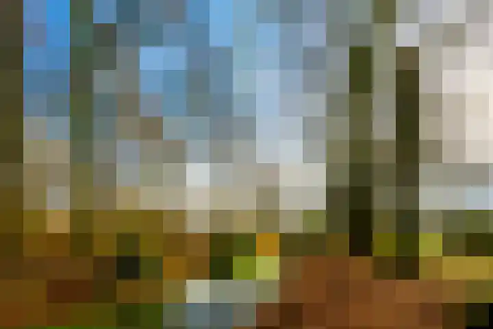 Nijenheim 1122 Zeist thumbnail 39