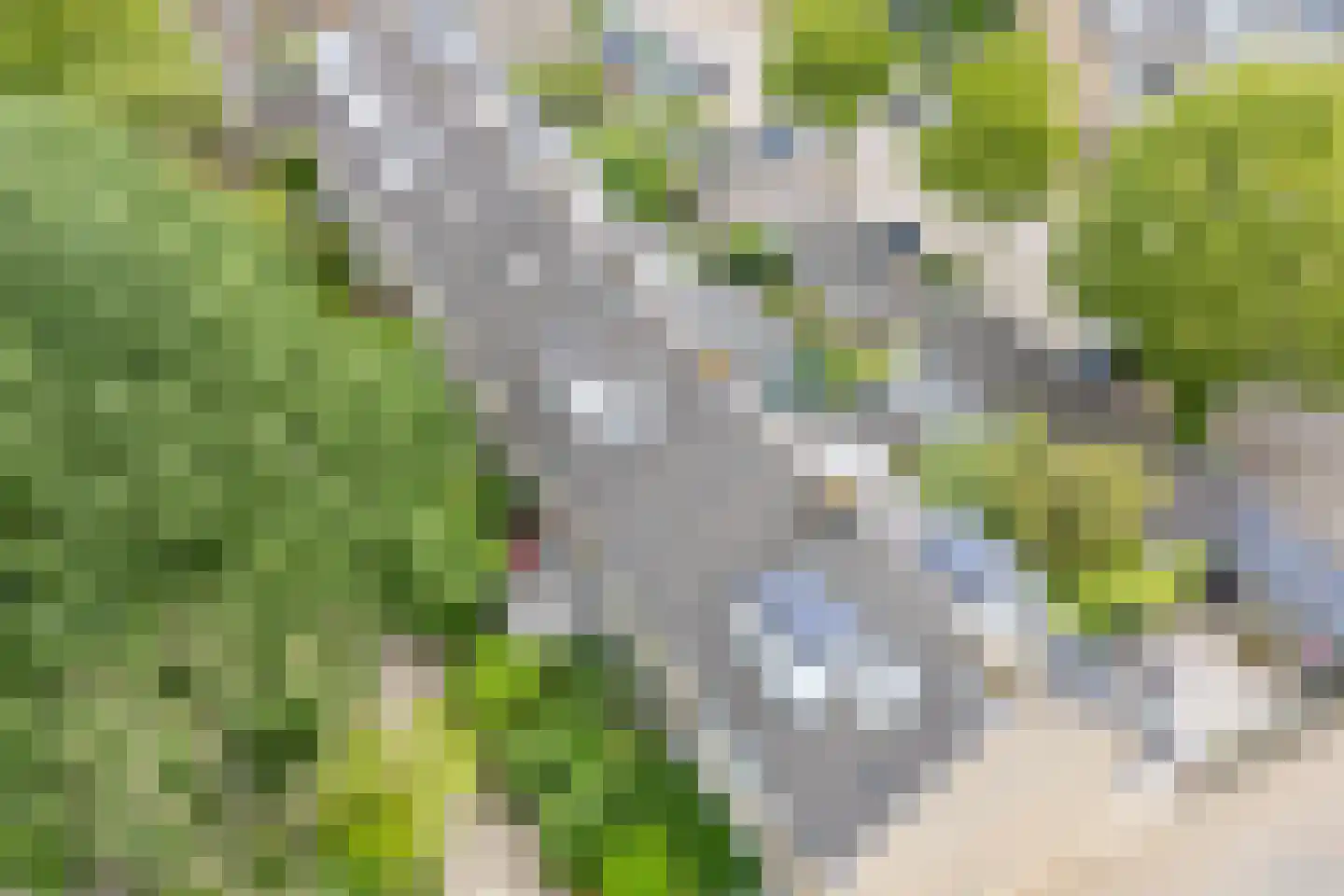 Nijenheim 1140 Zeist thumbnail 40