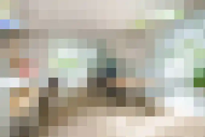 Nijenheim 2252 Zeist thumbnail 10