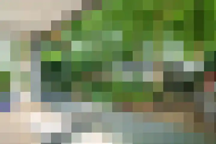 Nijenheim 2252 Zeist thumbnail 12