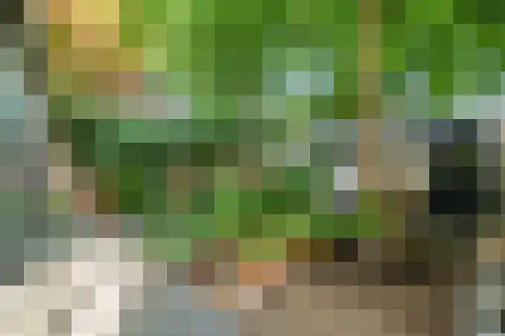 Nijenheim 2252 Zeist thumbnail 13