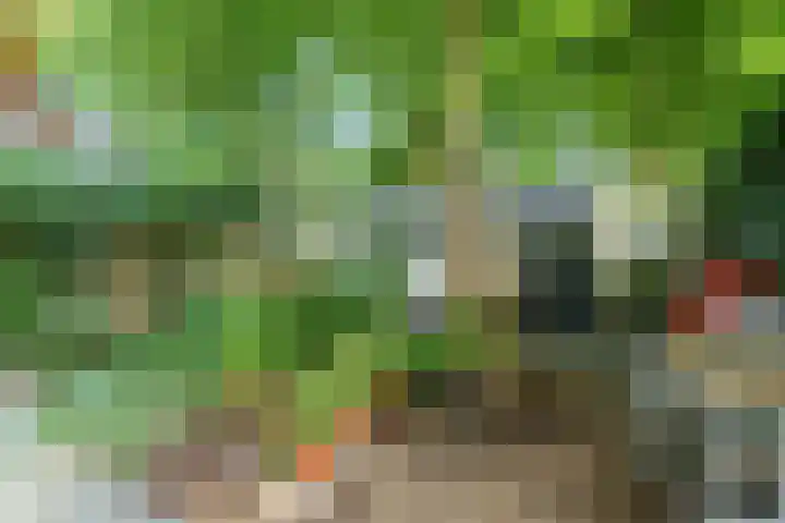 Nijenheim 2252 Zeist thumbnail 14