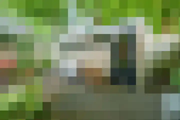 Nijenheim 2252 Zeist thumbnail 22
