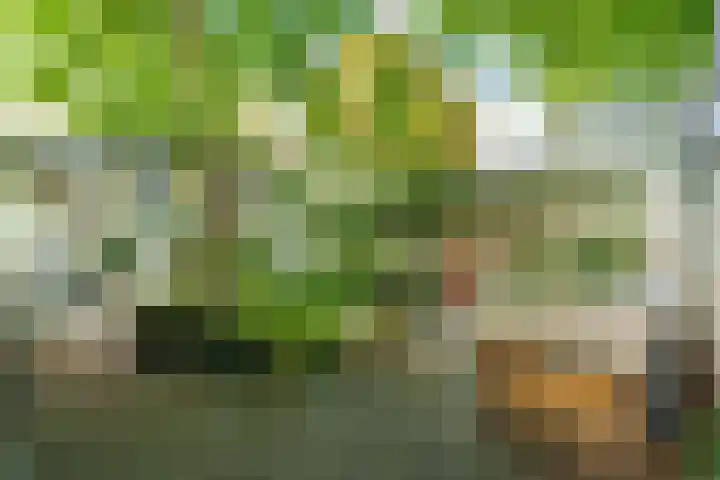 Nijenheim 2252 Zeist thumbnail 23